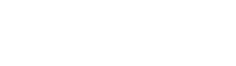 Américo e Liz Fotografia